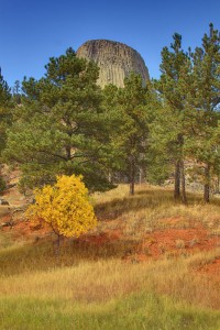 Devil's Tower