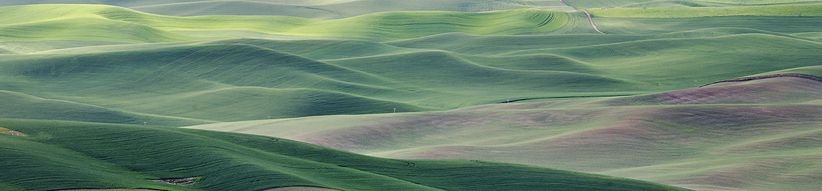 PHOTOS  OF  MY  WORLD