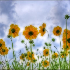 PHOTOS  OF  MY  WORLD